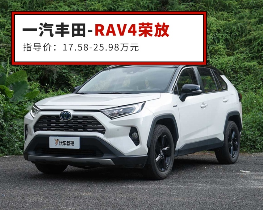 丰田RAV4特别版发布！海外售价约合人民币21.5万元