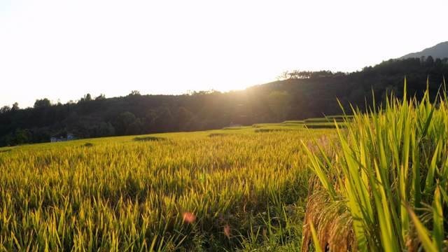 280公里节油赛 五菱星光让我们刮目相看的不止是油耗