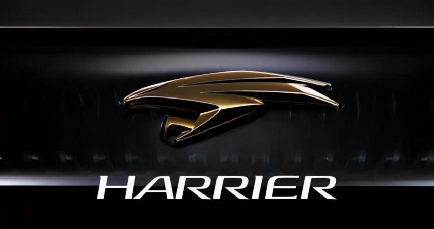 作为丰田“放”家族的新成员，凌放HARRIER“放”了哪些大招？