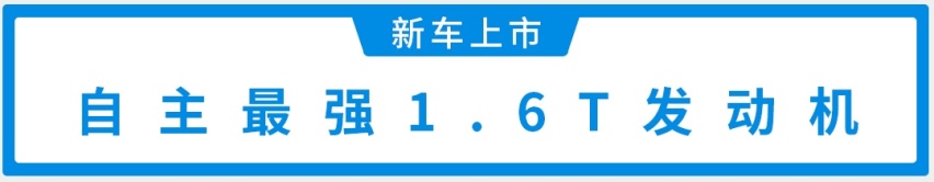 自主最强1.6T！9.99万起这款SUV豪华感满满，能火？