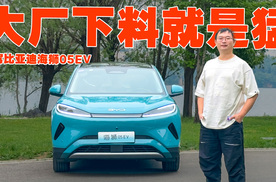 原来大厂下料这么猛 试驾比亚迪海狮05EV