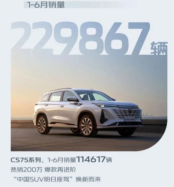 国产六大品牌上半年销量出炉：比亚迪狂卖125万辆，吉利排名第四
