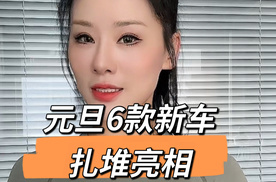 元旦6款新车扎堆亮相，覆盖新能源、皮卡与豪华SUV