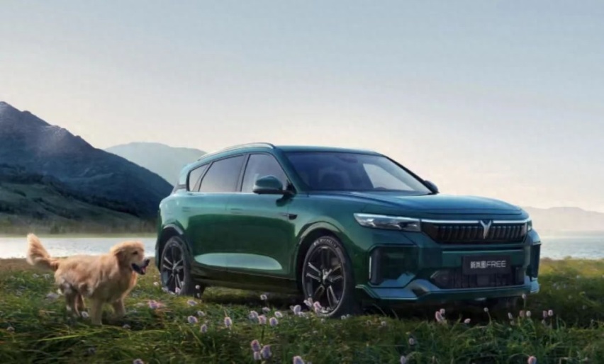 都是增程式大5座SUV，问界新M7和新岚图FREE如何选？