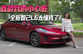 直戳我的小心脏 全新智己L6太懂我了！