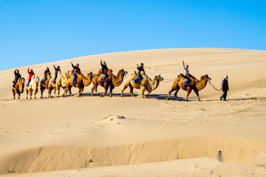 千里走单奇｜全新一代奇骏探享极限之旅天津玉龙沙湖站圆满举行