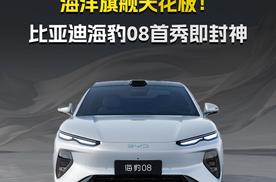 海洋旗舰天花板！比亚迪海豹08首秀即封神