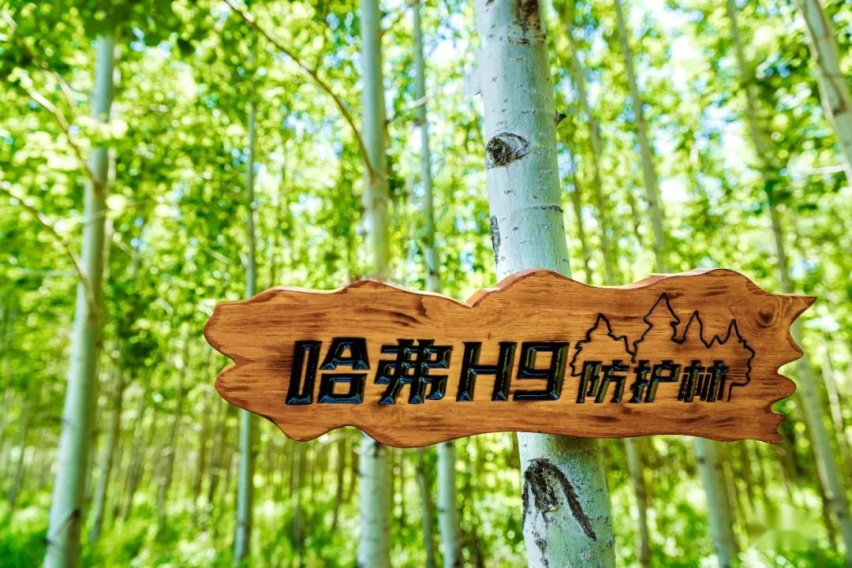 开哈弗H9的这群人有啥不一样？因车结缘，因路成为朋友