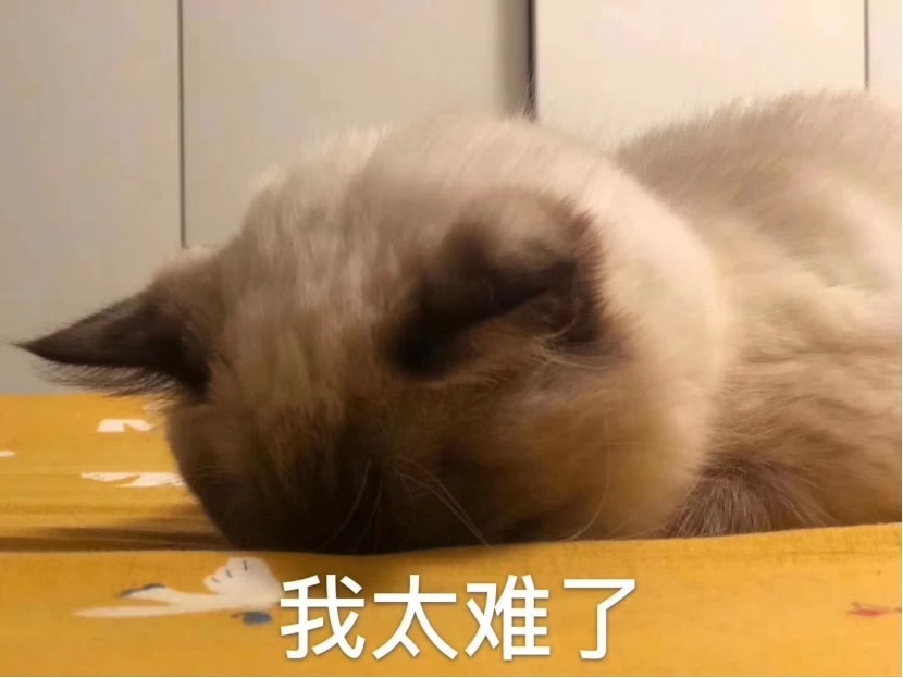 20万买豪华SUV如今做到了，但再加上新能源呢？