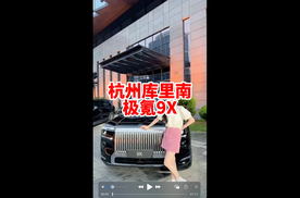 杭州库里南 极氪9X你们觉得价格怎么样？