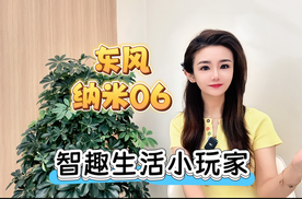 东风纳米06 智趣生活小玩家