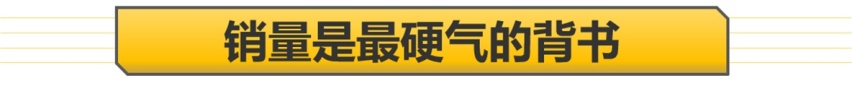 【帮你选车】低配不输范 高配更豪华 凯迪拉克XT6竞争力分析