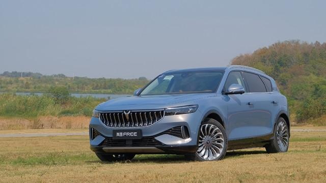 纯电中大型SUV,18度电能跑100公里?测试岚图FREE超长续航版