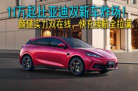 11万起比亚迪双新车炸场！颜值实力双在线，快充续航全拉满
