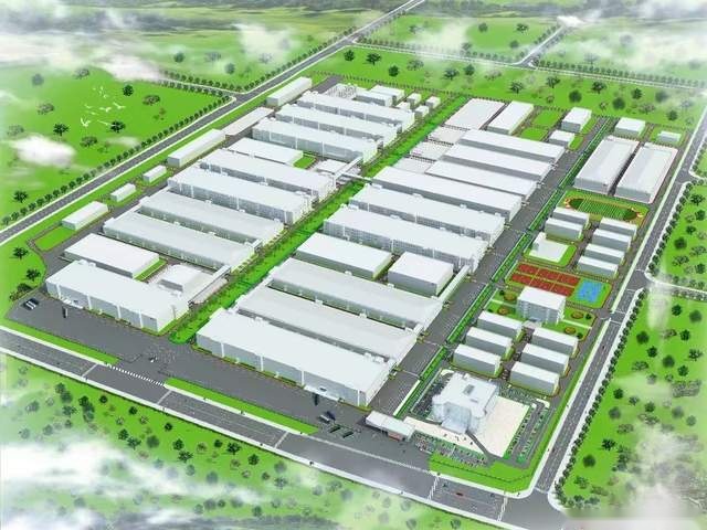 从“国货之光”到世界品牌，比亚迪全球化之路渐入佳境