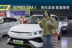 比亚迪宋PRO DM-i 25年1月购车政策与配置推荐