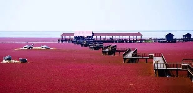 【全国营地】来辽宁这些大美露营地，来一场说走就走的旅行