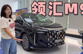 20万就能买到很好的商务MPV！
