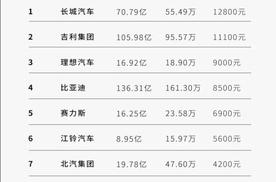 特斯拉一辆赚6万，比亚迪单车盈利才8450元，新能源领头羊怎么了？