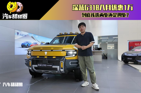 深蓝G318八月优惠1万，到底该选两驱还是四驱？