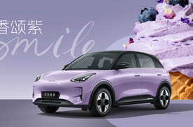 10万内电动双雄对决，吉利星愿与比亚迪海鸥谁更懂家用？