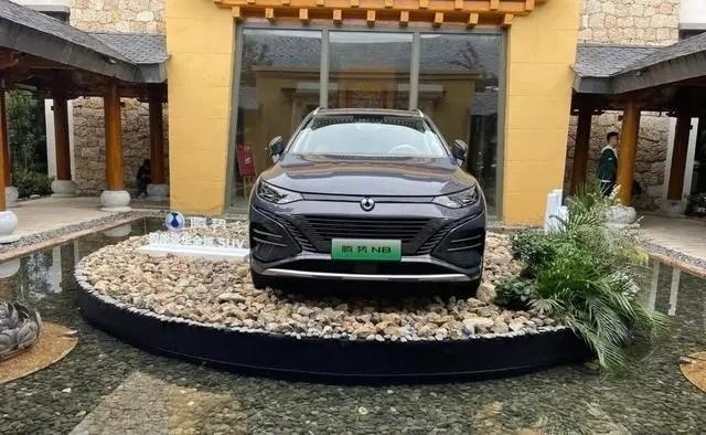 换壳比亚迪唐？全新比亚迪腾势N8正式亮相