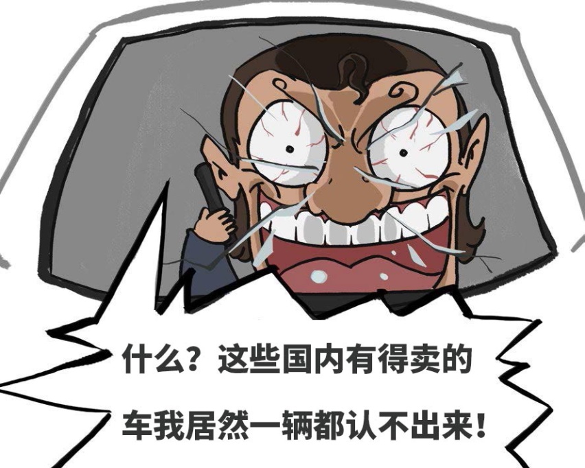 什么？这些国内有得卖的车我居然一辆都认不出来！