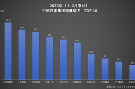 1-2月车企、品牌销量揭晓，比亚迪加冕“双冠王”