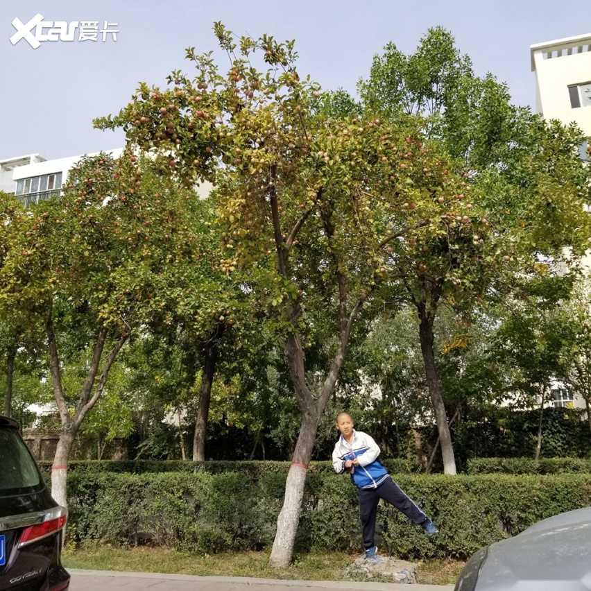 沿途景色美成天堂 自驾新疆RDX跑长途够用吗？