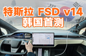 FSD v14 进中国就这样？！