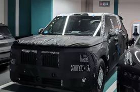 或对标问界M9，极氪旗舰SUV谍照曝光，定位大型SUV