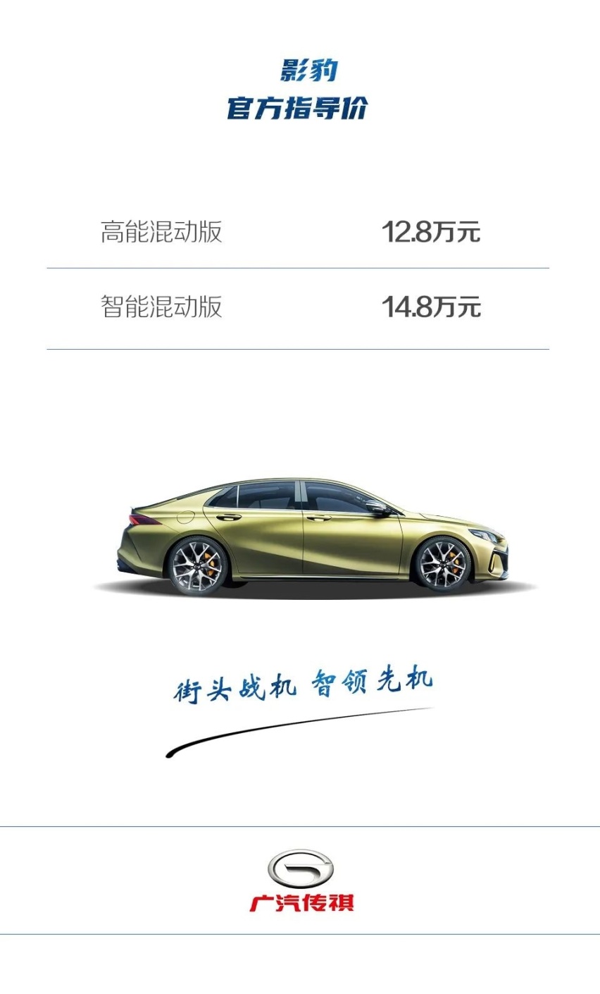 敢为人先的中国青年 开疆拓土的中国影豹