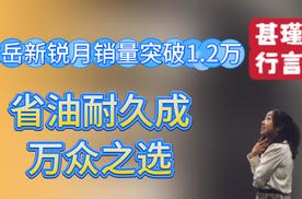 途岳新锐月销量突破1.2万，省油耐久成万众之选