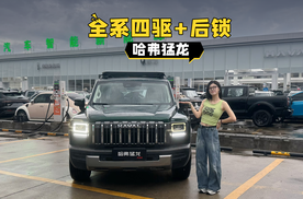 出厂即满配，拿环塔当质检报告的哈弗猛龙