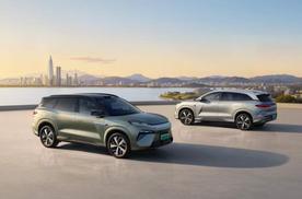 专为精英家庭而来！比亚迪唐L补贴后21.48万元起