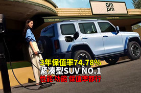 广东车友咨询30万预算 想要SUV 选两驱还是四驱