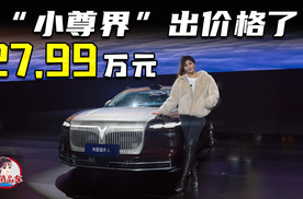 27.99万-30.99万元 岚图追光L上市