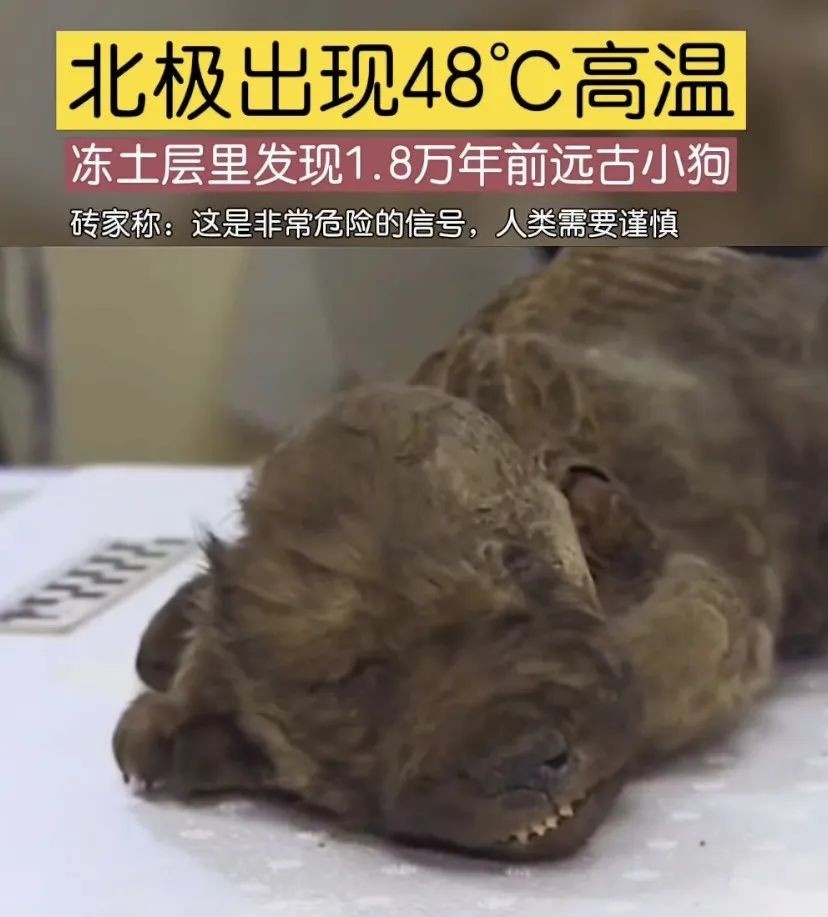 海南岛究竟有多神奇？这部科普纪录片披露了这些关键信息！