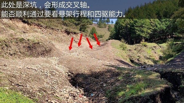 图片10.jpg