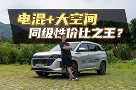 主打一个超高性价比，12万级电混SUV它最均衡？
