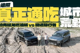 可城真可野？哈弗猛龙燃油版、捷途旅行者谁能真正通吃城市和越野