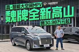 真·智能大空间MPV，魏牌全新高山售30.98万元起