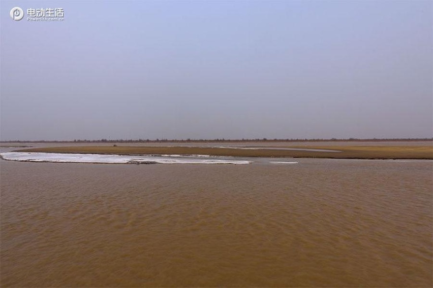 逃离城市：去东营，看黄河入海，吃海鲜！