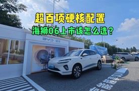 超百项硬核配置 比亚迪海狮06上市该怎么选？