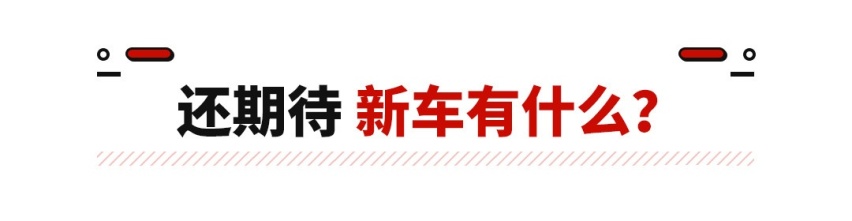 赌上大众的未来！新时代版帕萨特/迈腾明年国产
