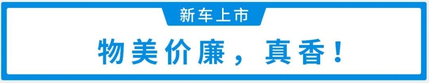 标配2.0T+8AT，刚上市这豪华SUV入门即高配！