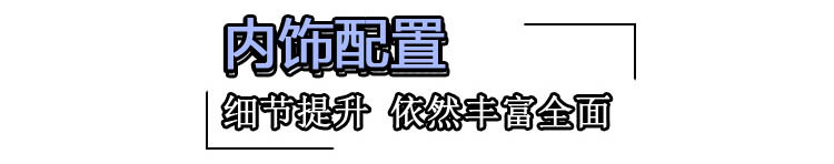 换上一身劲装 实拍解读广汽丰田雷凌运动版