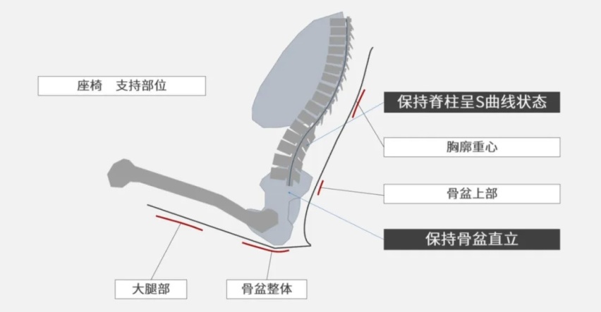 什么样的座椅设计，才会让你一次又一次的想开车？丨阿特兹长测