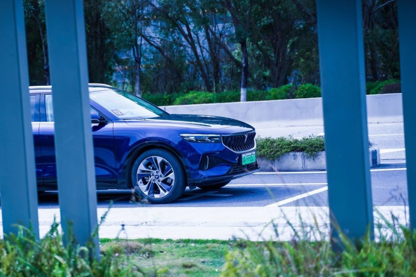 30万买大5座SUV，配置拉满还带空气悬挂，试驾岚图FREE