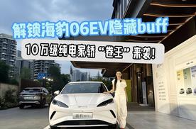 10万级纯电家轿“卷王”来袭！解锁海豹06EV隐藏buff